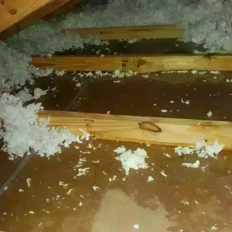 Attic Water Damage in Wadena, MN